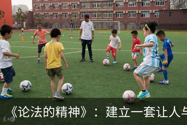 《论法的精神》：建立一套让人与人之间不必互相恐惧的安排 | 每周经典