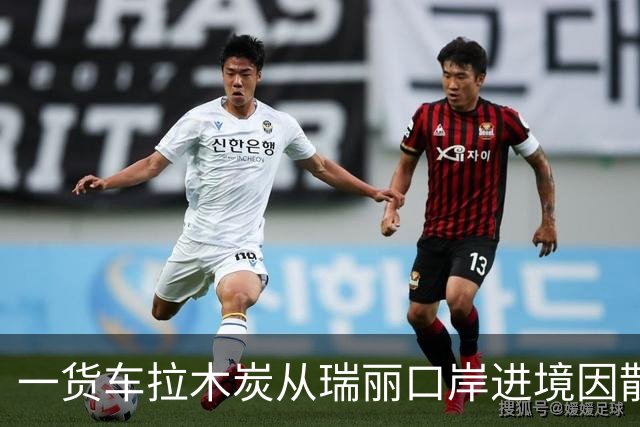 一货车拉木炭从瑞丽口岸进境因散发异味被查，车厢底部竟暗藏大量蛇干：共查获蛇干2380条，干蛇鞭蛇胆1795个