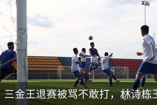 三金王退赛被骂不敢打，林诗栋王楚钦48小时倒下，国乒遮羞布被撕