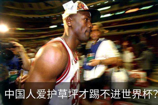 中国人爱护草坪才踢不进世界杯？老外意林令老中一脸问号