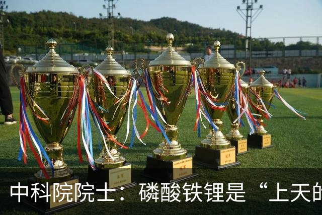 中科院院士：磷酸铁锂是“上天的礼物”，现在电车很好不必等固态