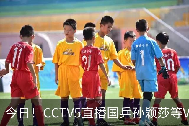 今日！CCTV5直播国乒孙颖莎等VS日本，冲击亚运会金牌，王曼昱PK早田希娜