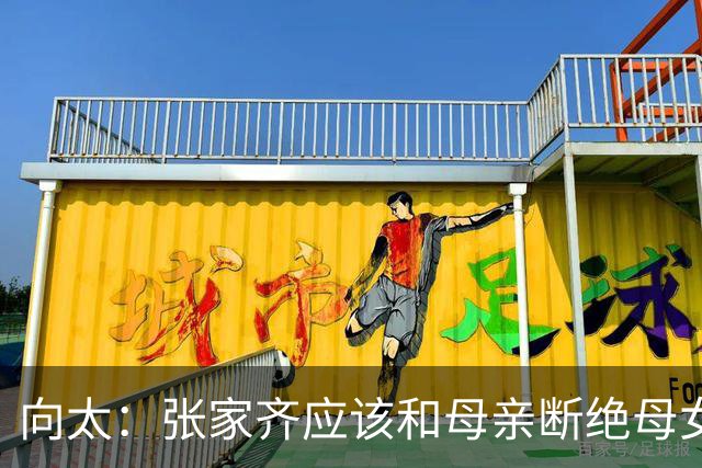向太：张家齐应该和母亲断绝母女关系！只给钱 后者谎话连篇打压女儿