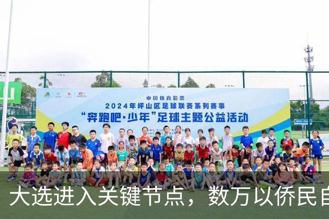 大选进入关键节点，数万以侨民自费回国，跨洋投票希望推翻现政府