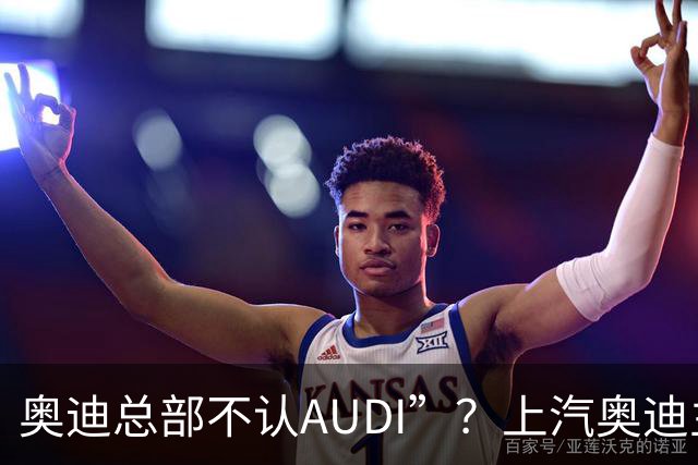 奥迪总部不认AUDI”？上汽奥迪主理人谢施奇回应：相关表述针对平行进口车售后