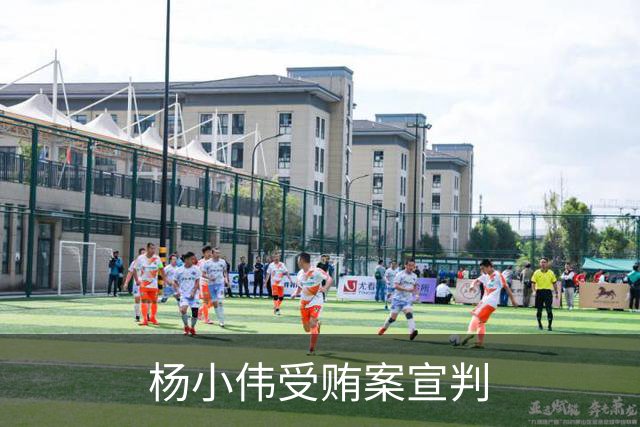 杨小伟受贿案宣判