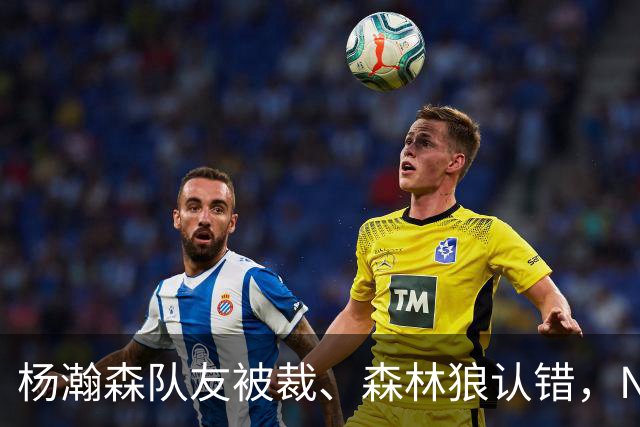 杨瀚森队友被裁、森林狼认错，NBA高个控卫实验，为什么都失败了