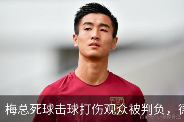 梅总死球击球打伤观众被判负，德约称能感同身受相信其非故意为之