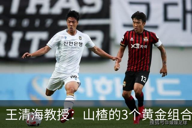 王清海教授：山楂的3个黄金组合，扫清血管“垃圾”，便宜又好用