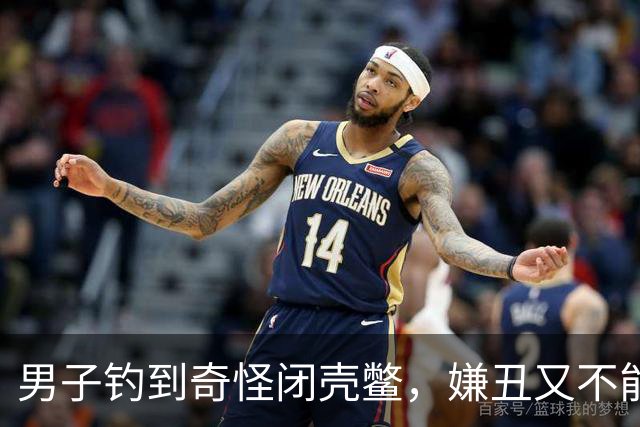 男子钓到奇怪闭壳鳖，嫌丑又不能吃直接丢掉，网友：放走了几万块！