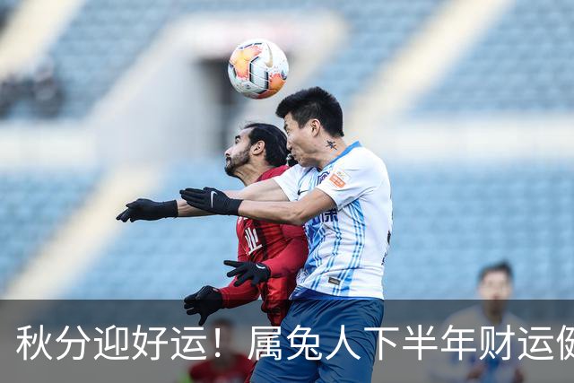 秋分迎好运！属兔人下半年财运健康事业姻缘四喜良缘主动来敲门！