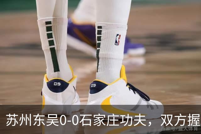 苏州东吴0-0石家庄功夫，双方握手言和