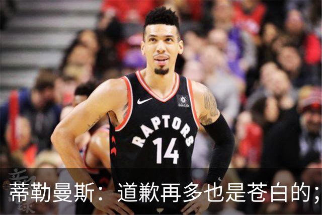 蒂勒曼斯：道歉再多也是苍白的；我们几乎所有环节都脱节了