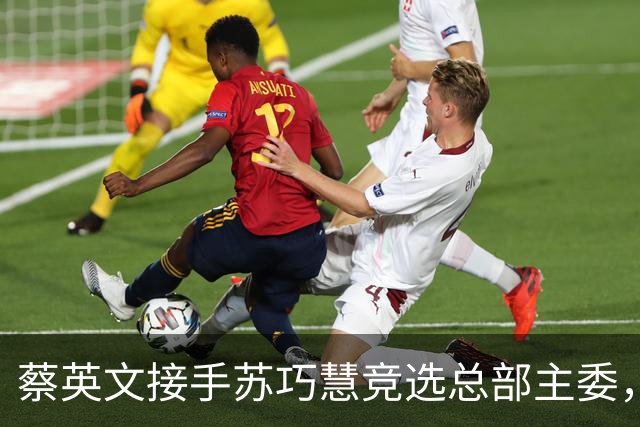 蔡英文接手苏巧慧竞选总部主委，学历争议成绿营选情新变量
