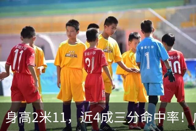 身高2米11，近4成三分命中率！广东男篮最适合的大外援曝光