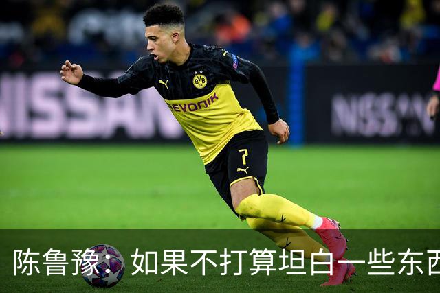 陈鲁豫：如果不打算坦白一些东西，他根本不会来