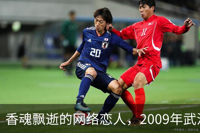 香魂飘逝的网络恋人，2009年武汉“6·15”旅店无名女尸案侦破始末