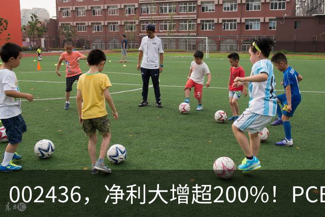 002436，净利大增超200%！PCB，业绩集体爆发