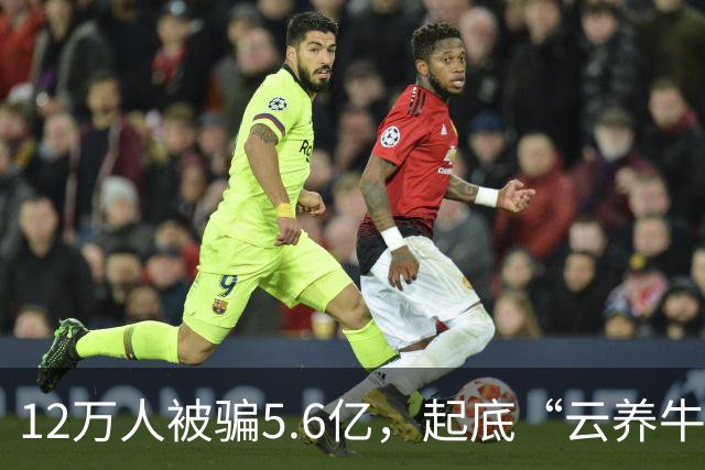 12万人被骗5.6亿，起底“云养牛”骗局