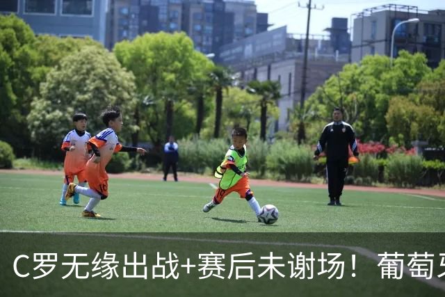 C罗无缘出战+赛后未谢场！葡萄牙主帅：我得和他聊聊