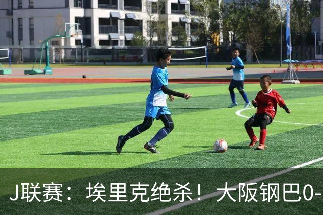 J联赛：埃里克绝杀！大阪钢巴0-1不敌神户胜利船